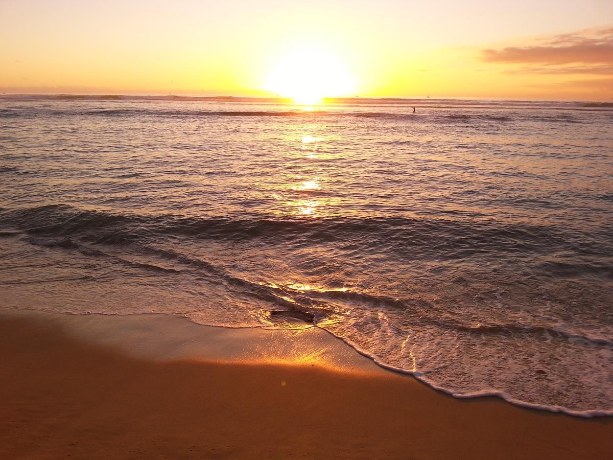 Waikiki Shore Beachfront Honolulu Exteriör bild