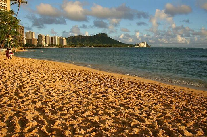 Waikiki Shore Beachfront Honolulu Exteriör bild